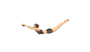 Duke's logo